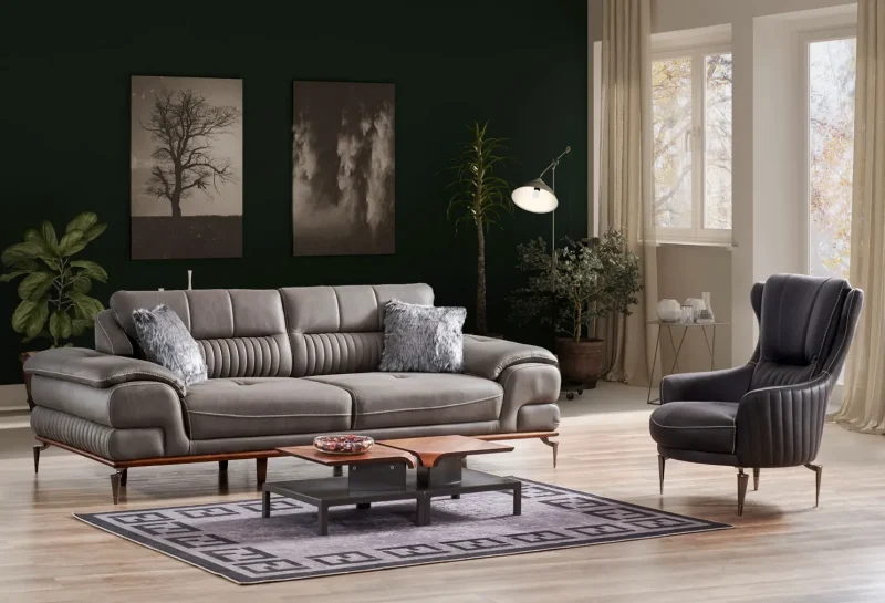 LEXSUS KOLTUK TAKIMI - Görsel 1