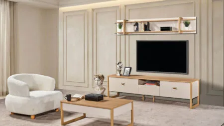 OLEYS TV ALT MODÜL