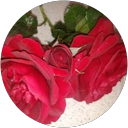 MİHRAÇ Ç. profile picture