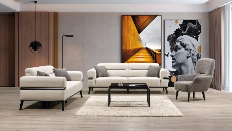 GOSNUG KOLTUK TAKIMI - Görsel 1