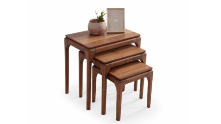 BONGO ZİGON SEHPA CEVİZ