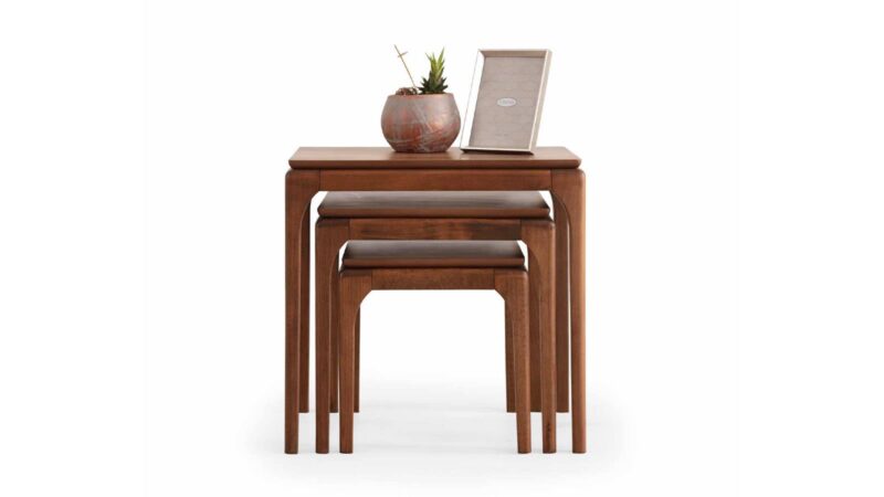 BONGO ZİGON SEHPA CEVİZ-1