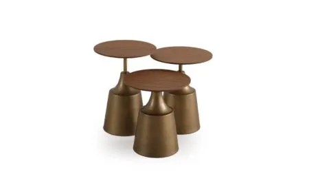 SIENA ZİGON SEHPA MEŞE