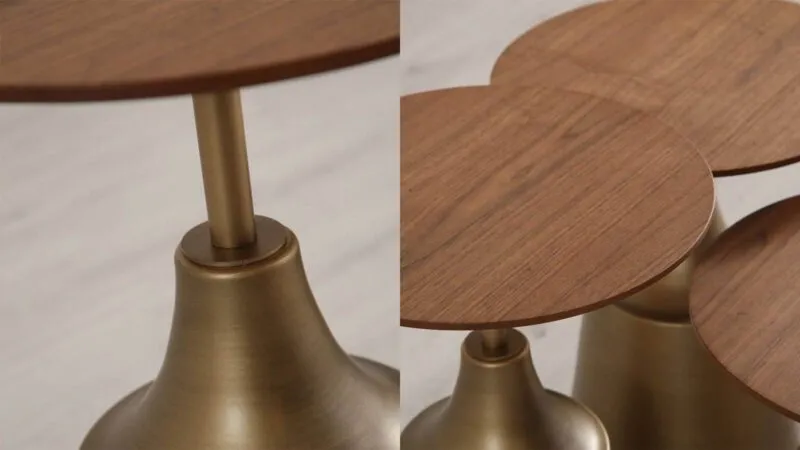 SIENA ZİGON SEHPA MEŞE-1