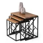 TACO ZİGON SEHPA MEŞE