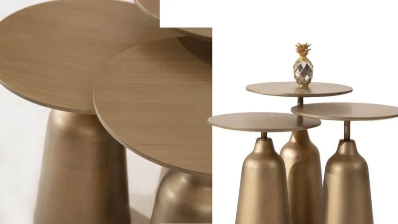 TAKE ZİGON SEHPA PRİNÇ-1