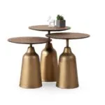 ZENTAGLE ZİGON SEHPA PRİNÇ