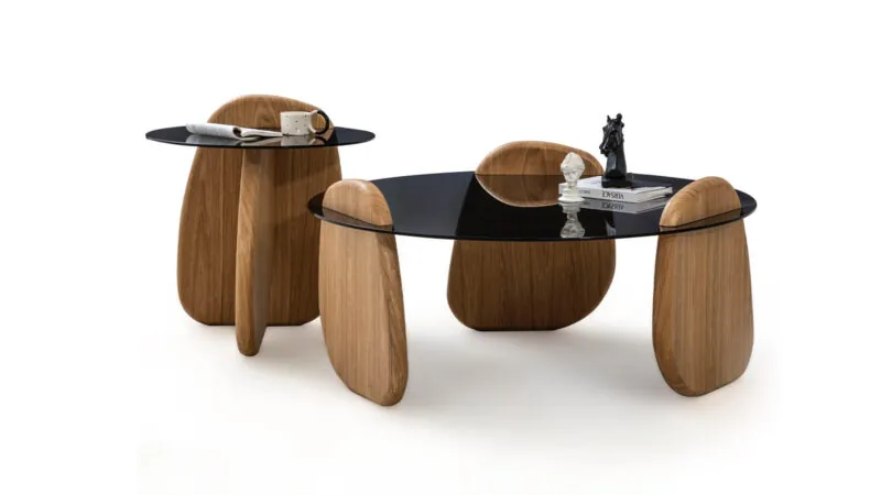 MARKIZ ORTA SEHPA MEŞE-1