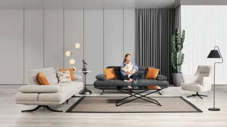 FELİX PLUS KOLTUK TAKIMI SİLVE